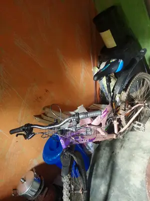 Personal Mobility
