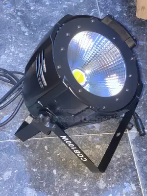 Cob 100w Led Par Stage Light