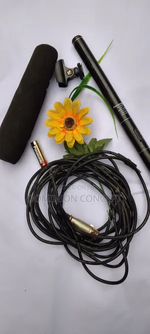 Camera Boom Mic