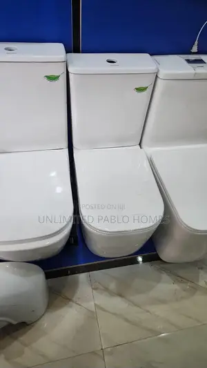Modern Flush Toilet WC