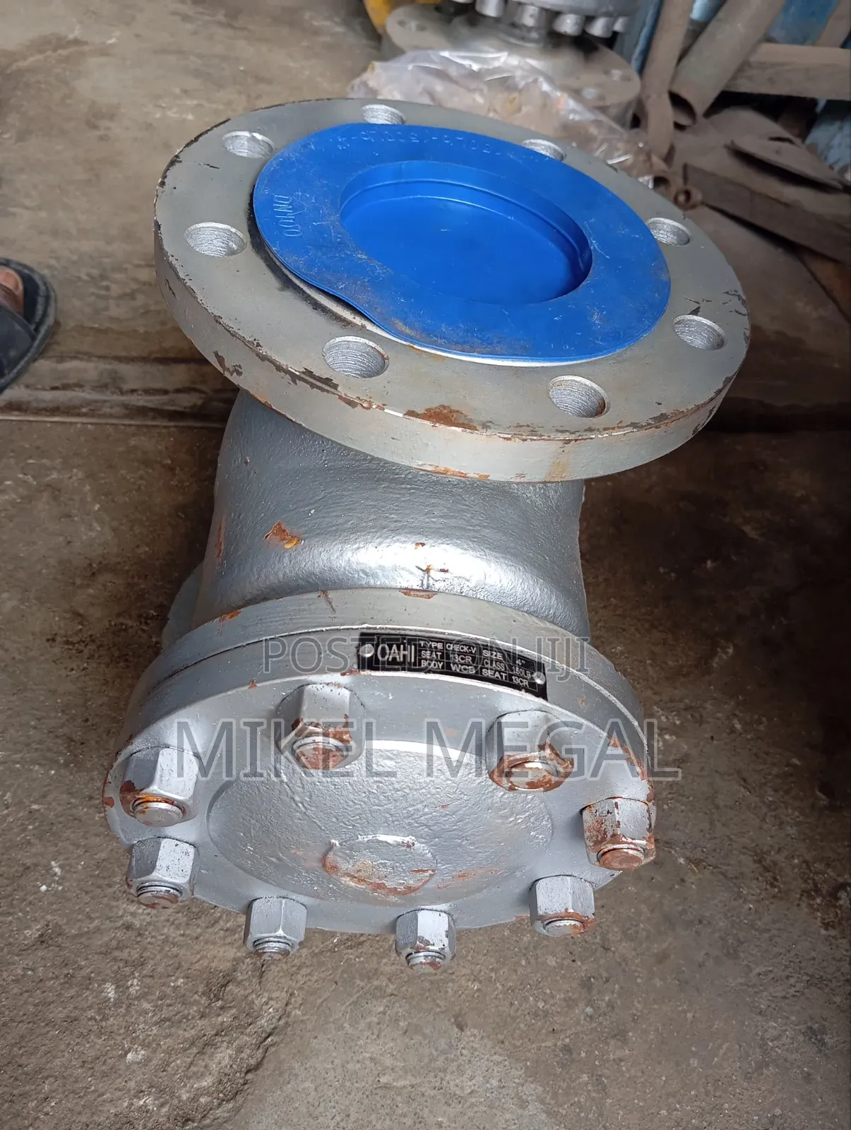4" X 150 Check Valve