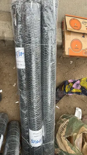 Galvanized Chicken Net / Chicken Wire Mesh Poultry Net