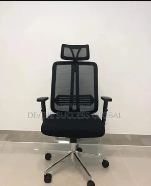 Office Ergonomic Chair With Headrest