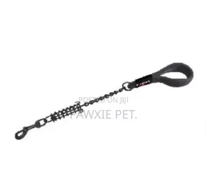 Nunbell Chain Lead With Spring 4mm