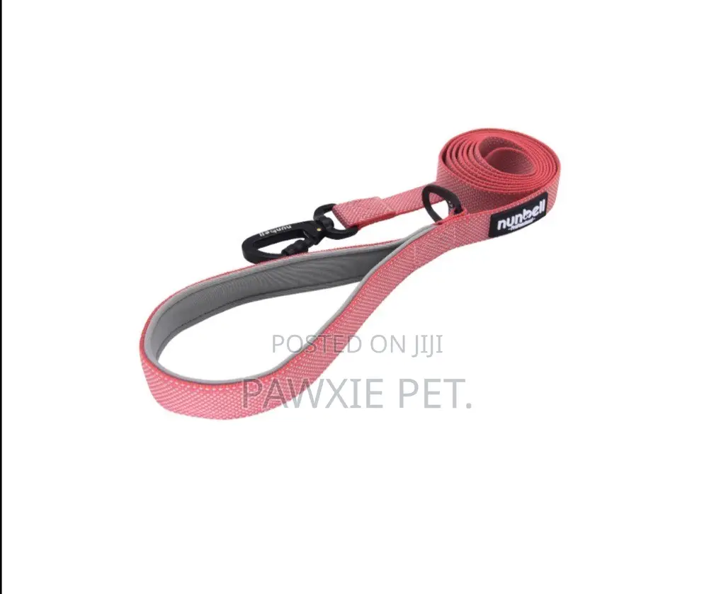 LEADS Nunbell Padded Handle Pet Leash 2.5*150cm