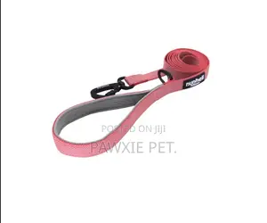 LEADS Nunbell Padded Handle Pet Leash 2.5*150cm