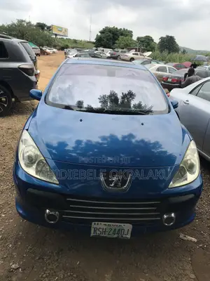Peugeot 307 2006 Blue