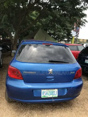 Peugeot 307 2006 Blue