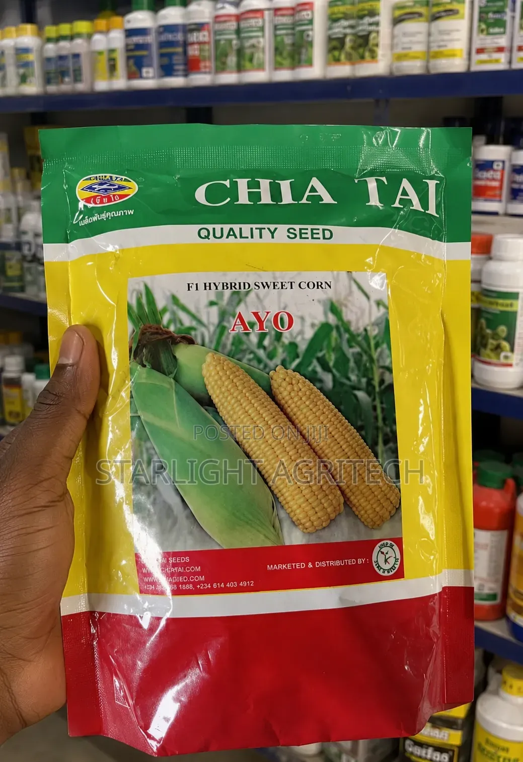 Ayo F1 Sweet Corn 500g