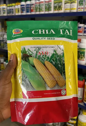 Ayo F1 Sweet Corn 500g