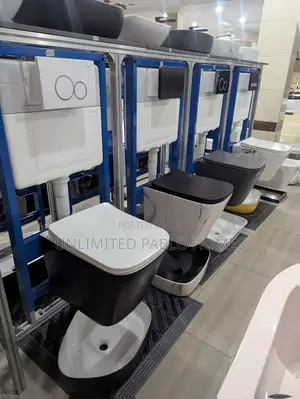 Modern Wall Hung Toilet With Concealed Cistern Frame