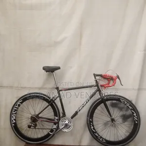 Adult v Rim Sports Bicycle