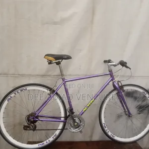 Alton Adult Road Bicycle