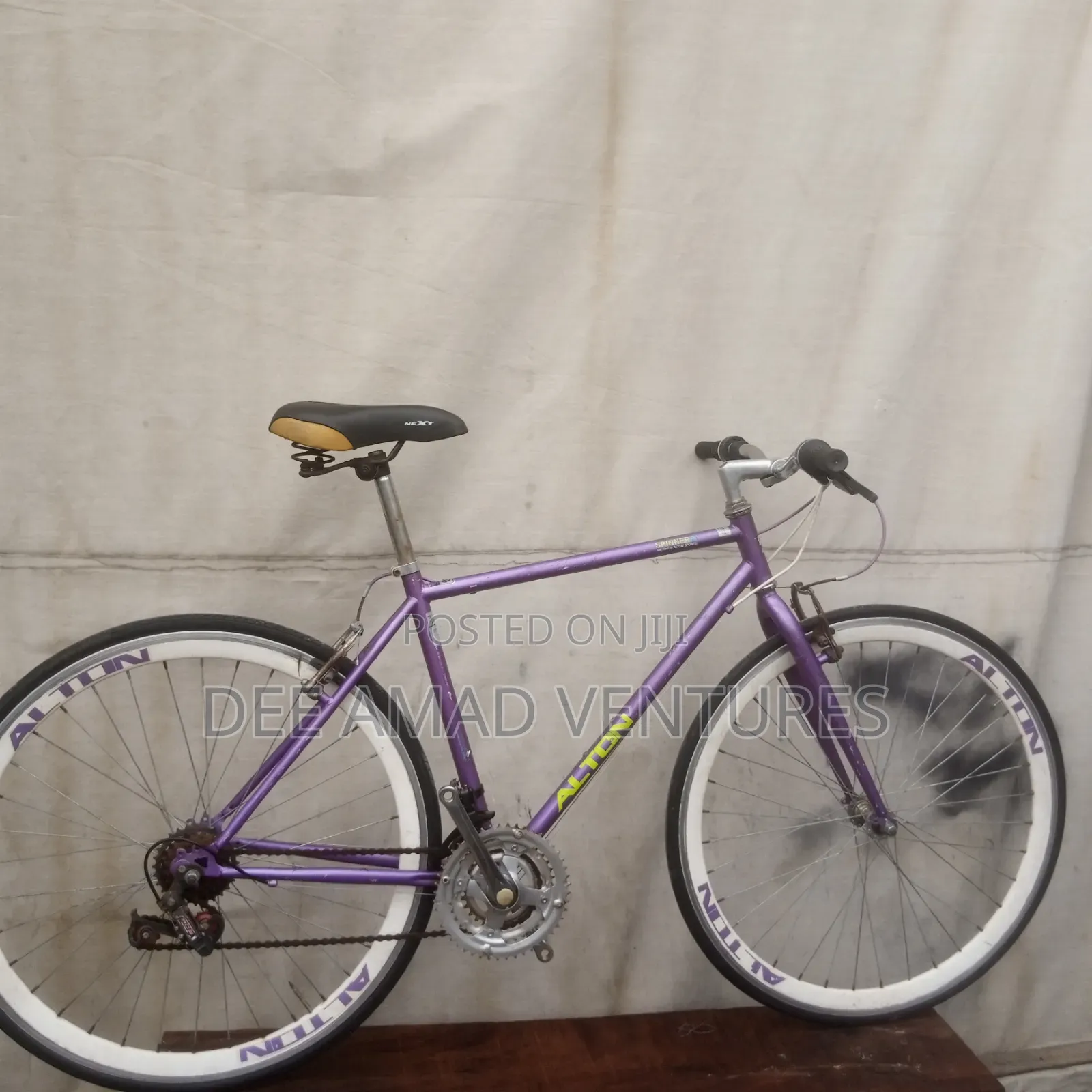 Alton Adult Road Bicycle