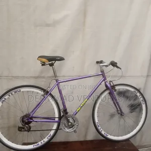 Alton Adult Road Bicycle