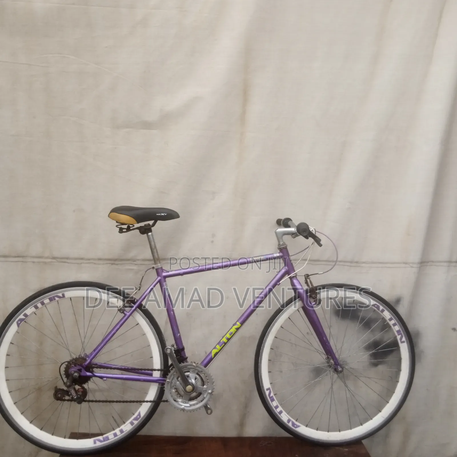 Alton Adult Road Bicycle