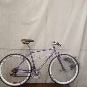 Alton Adult Road Bicycle