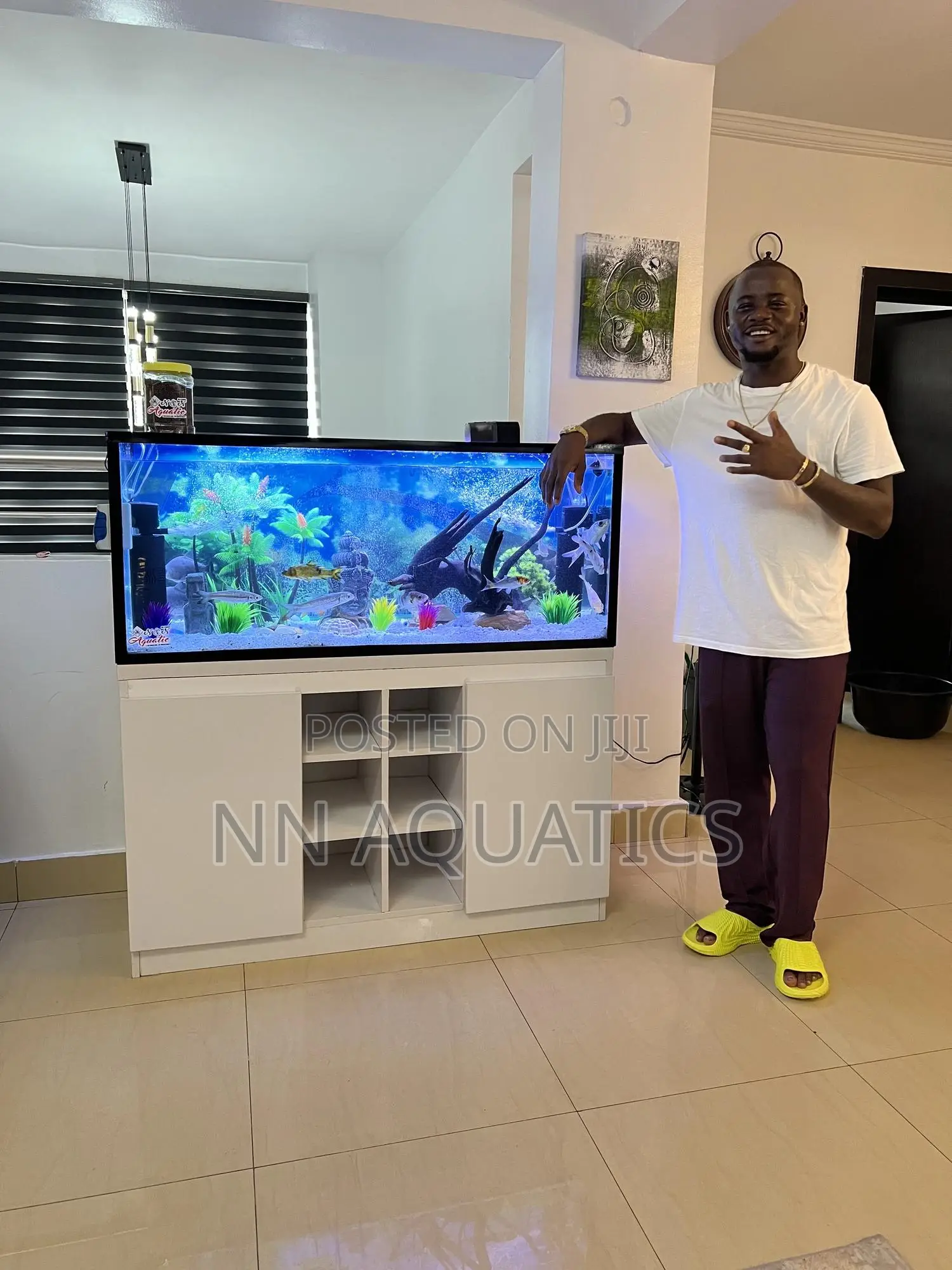 4 Ft by 2 Ft Stand Alone Aquarium