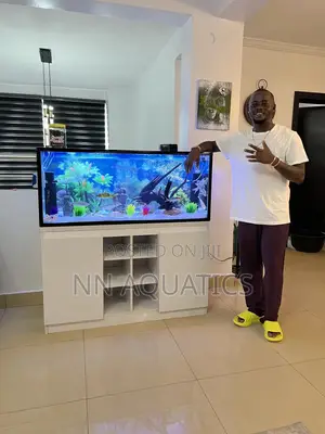 4 Ft by 2 Ft Stand Alone Aquarium