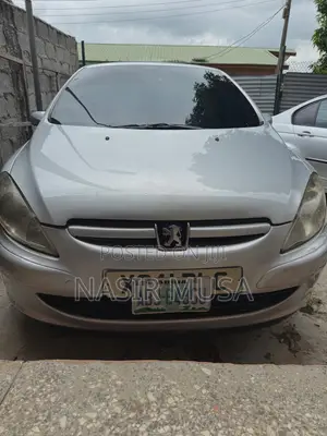 Peugeot 307 2005 Silver