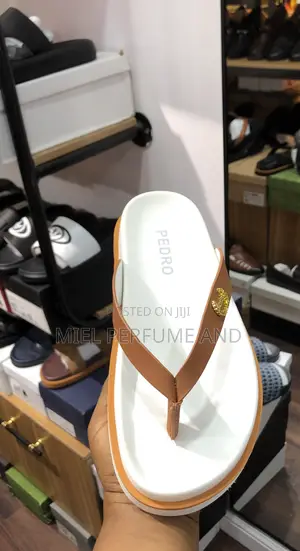 Original Pedro Corporate Slides