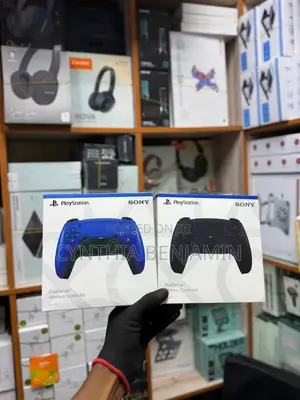 PS5 DualSense Wireless Controller