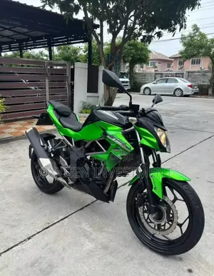 Kawasaki 2017 Green