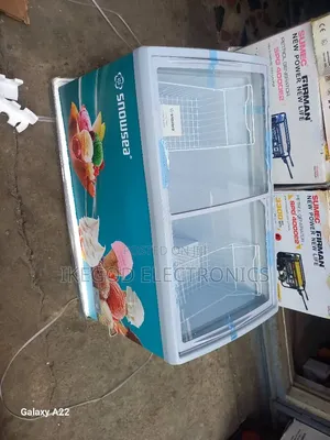 Snowsea Ice Cream Freezer Bd450G
