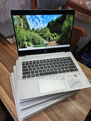 Laptop HP ProBook 430 G7 8GB Intel Core i5 SSD 256GB