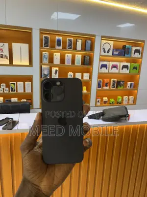 Apple iPhone 15 Pro Max 256 GB Black