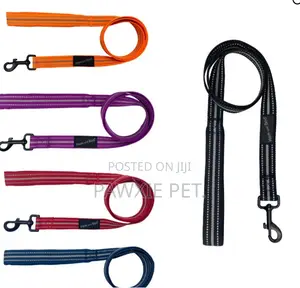 Nunbell Reflective Padded Handle Leash 2.5*120cm