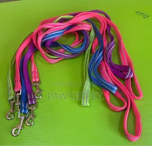 Reflective Neoprene Padded Lead 1.5*120cm
