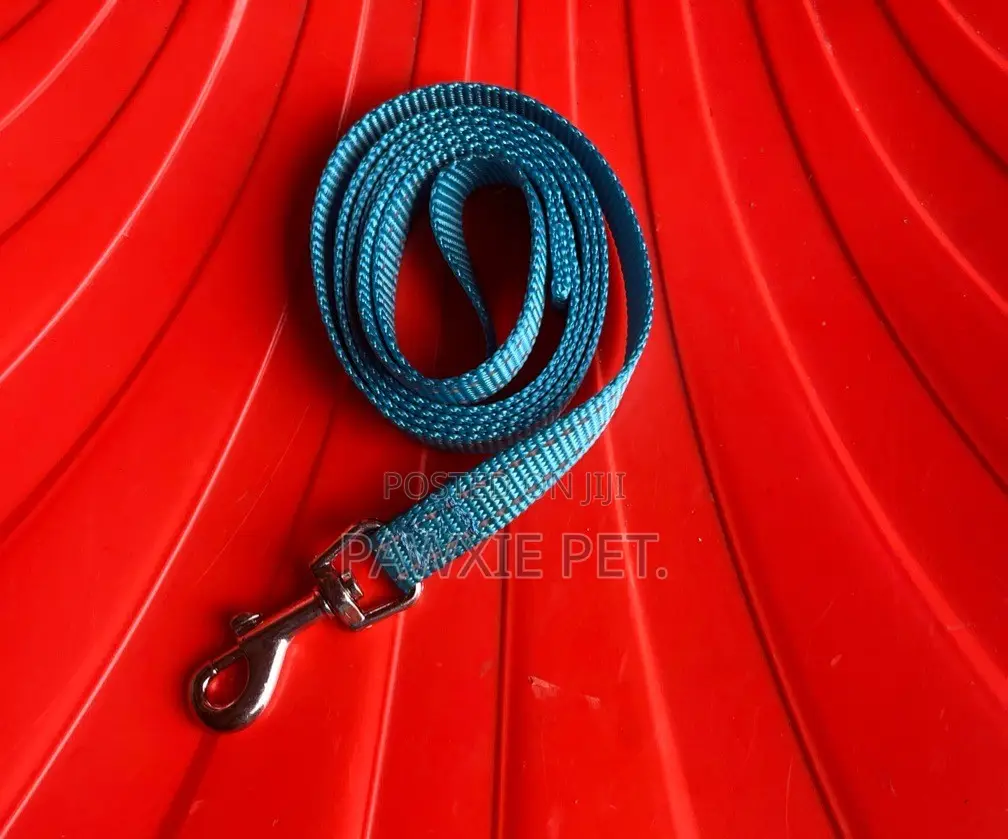 Reflective Nylon Lead 1.5*120cm