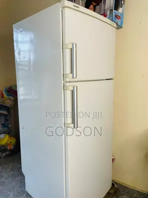 Siemens Double Door Fridge
