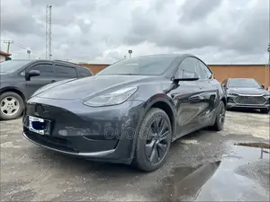 Tesla Model Y Long Range RWD 2024 Gray