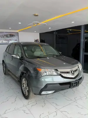Acura MDX 2008 Gray