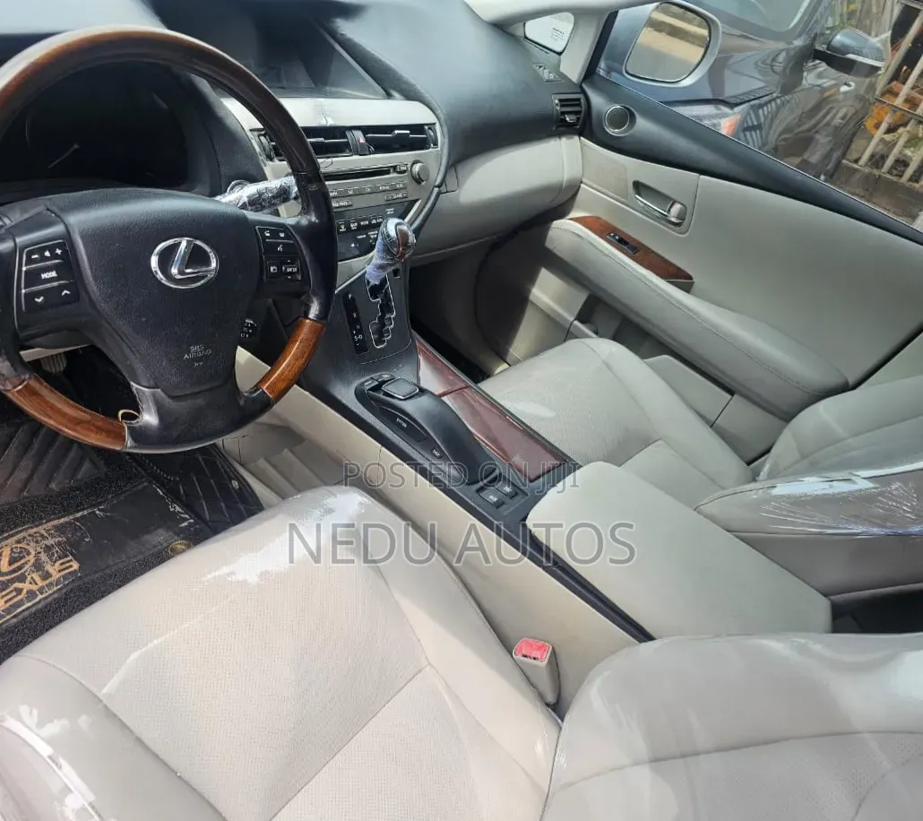 Lexus RX 2010 Silver
