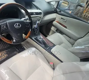Lexus RX 2010 Silver