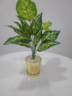 Home Decorators