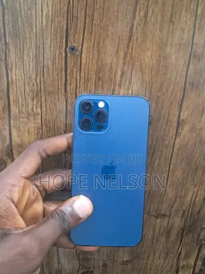Apple iPhone 12 Pro 256 GB Gray