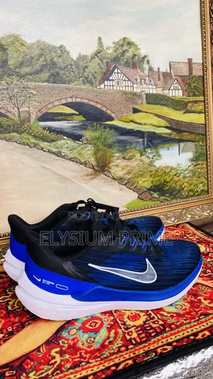 Nike Air Winflo 9