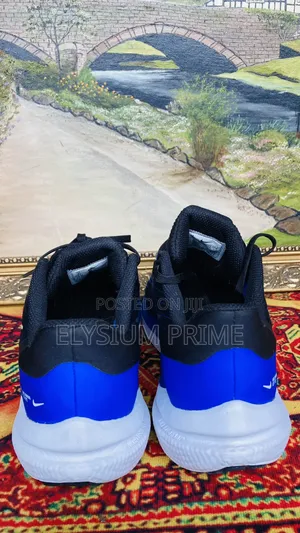 Nike Air Winflo 9