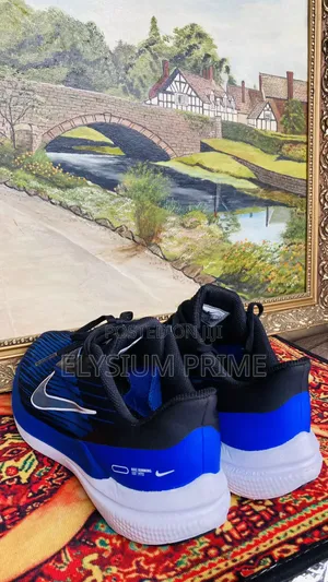 Nike Air Winflo 9