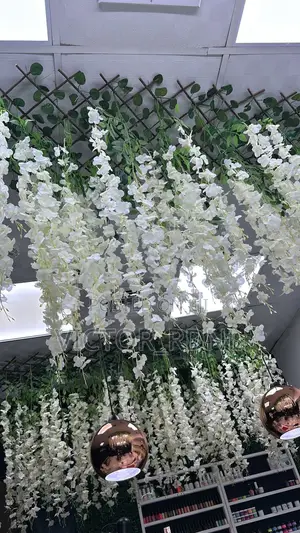 Blossoms Dropping Flower Plant