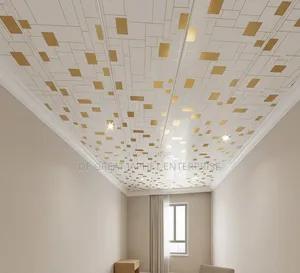 Suspended Ceiling Designs