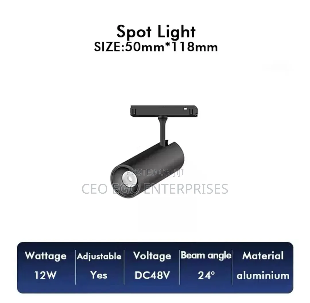 Magnetic Light