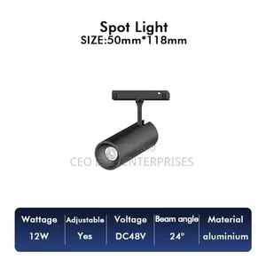 Magnetic Light