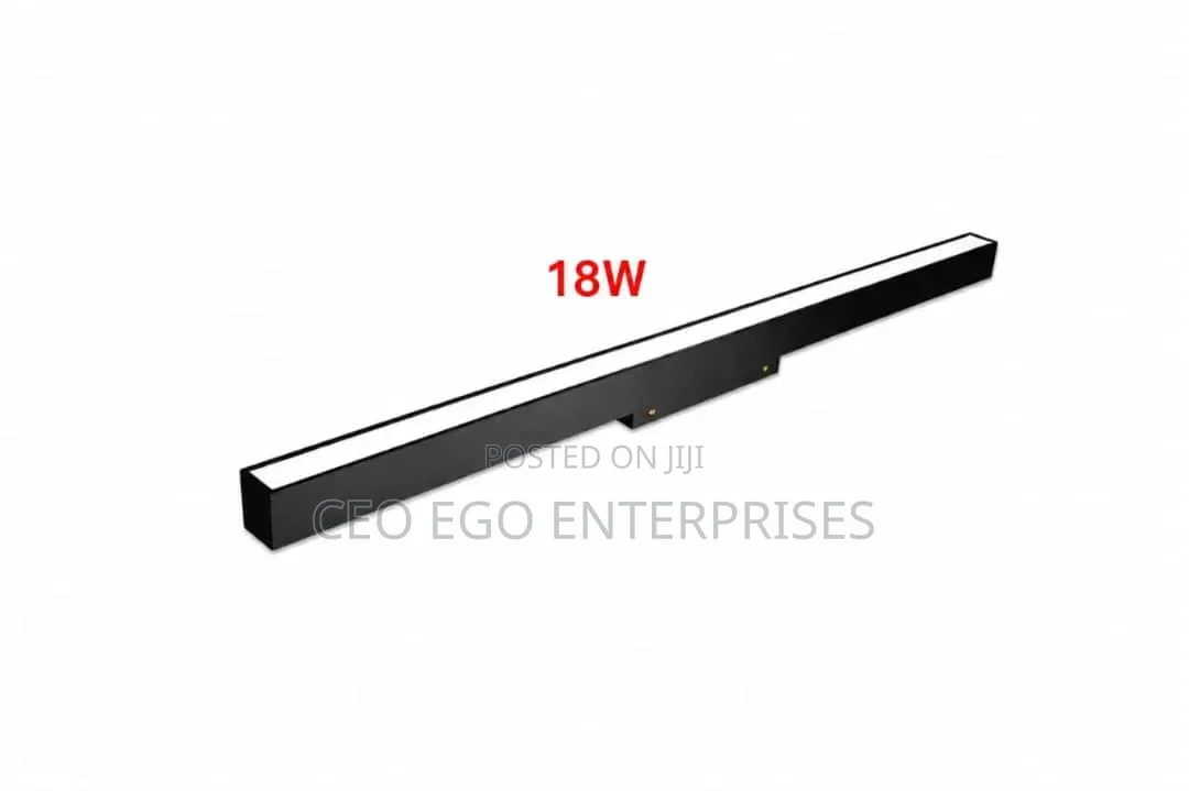 Magnetic Light