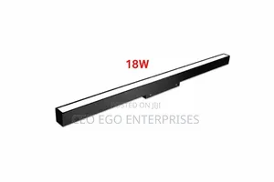 Magnetic Light