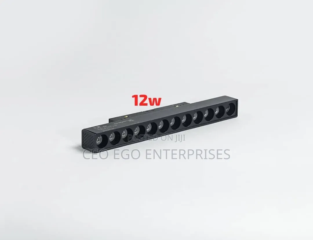 Magnetic Light